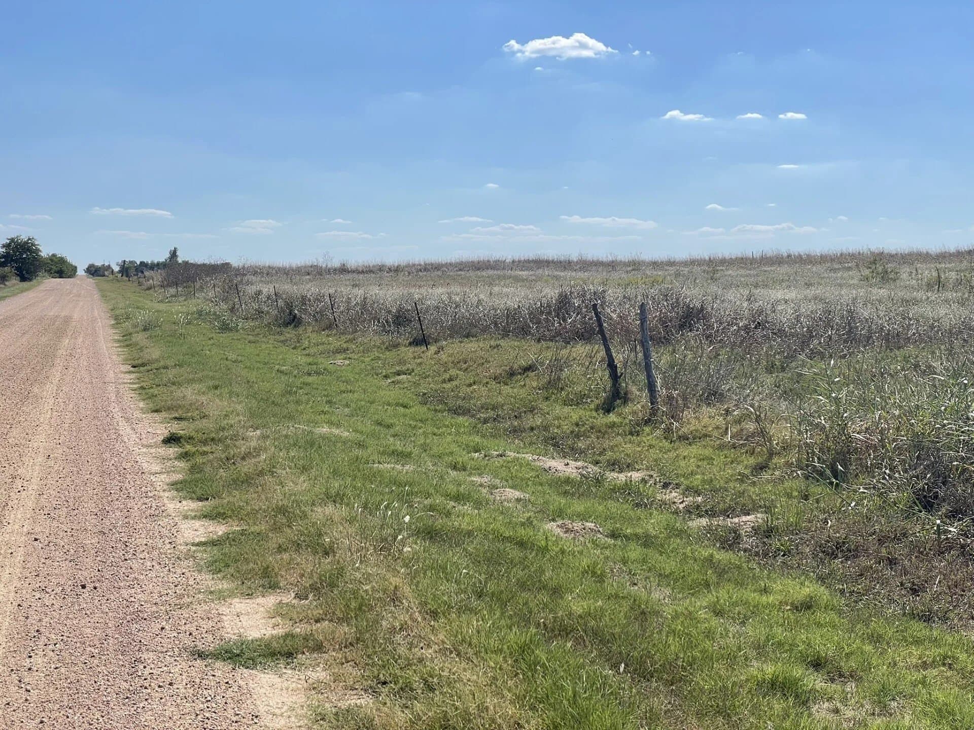 8 acres in Williamson County - photo 25