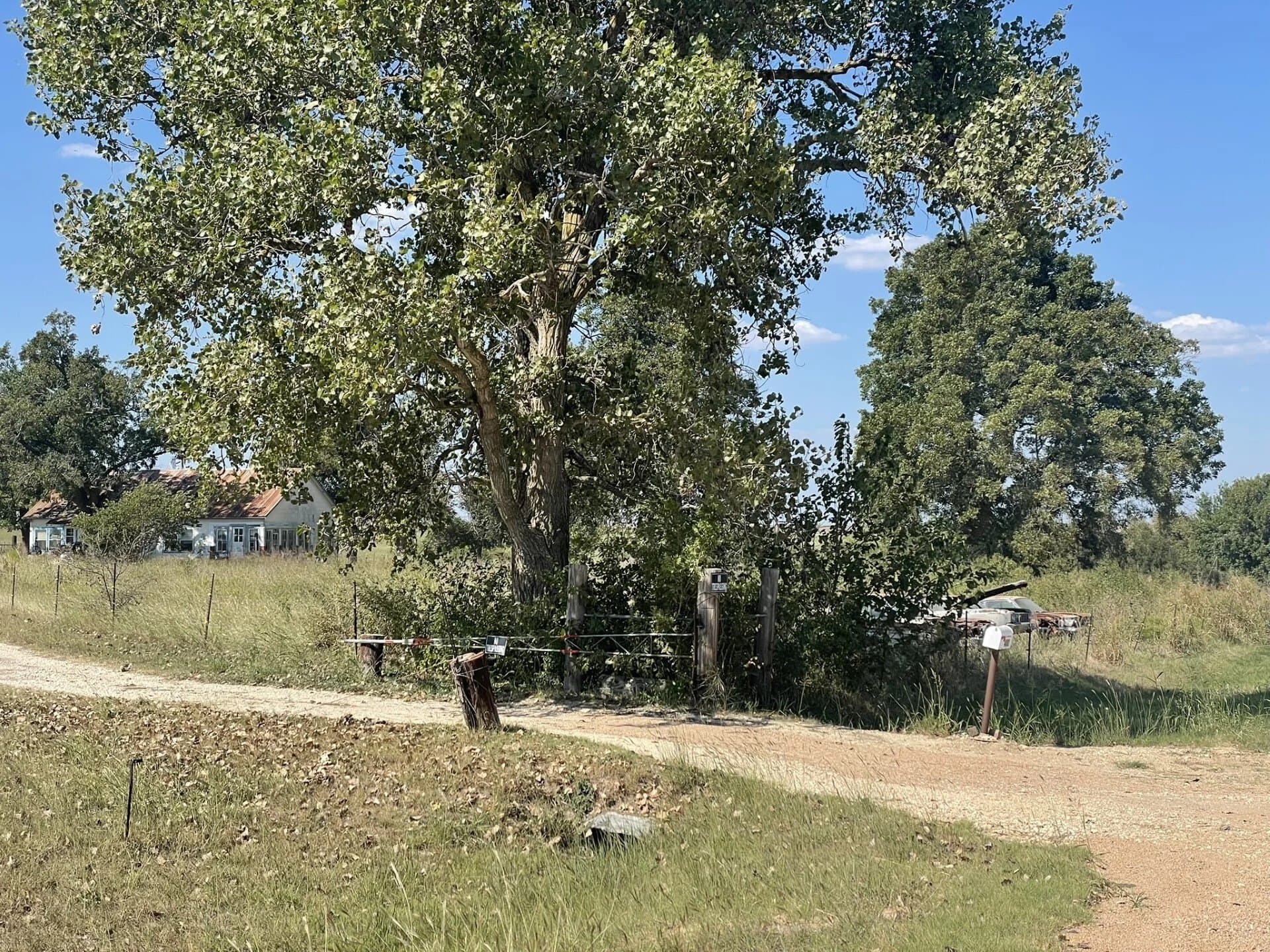 8 acres in Williamson County - photo 19