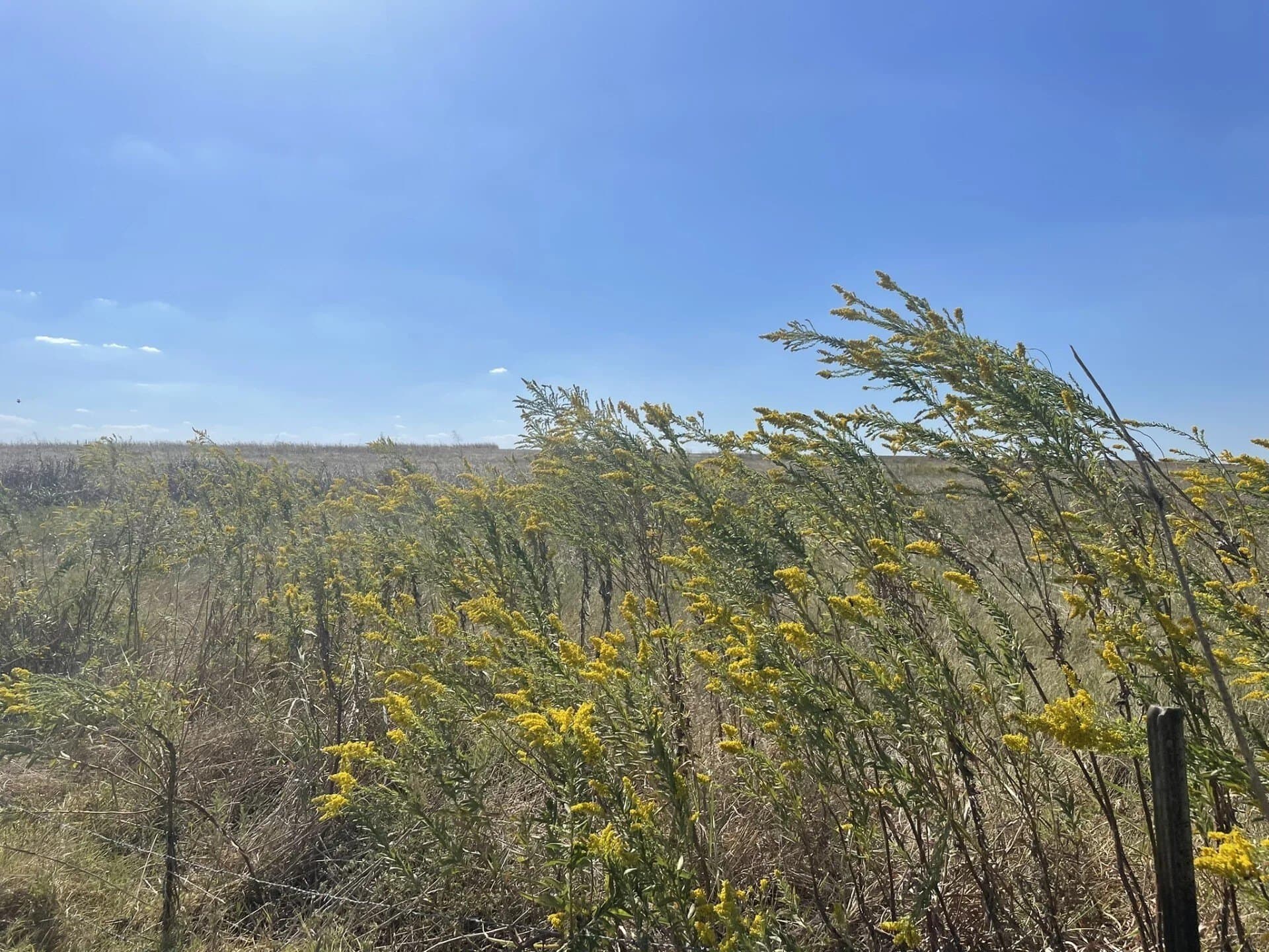 8 acres in Williamson County - photo 22
