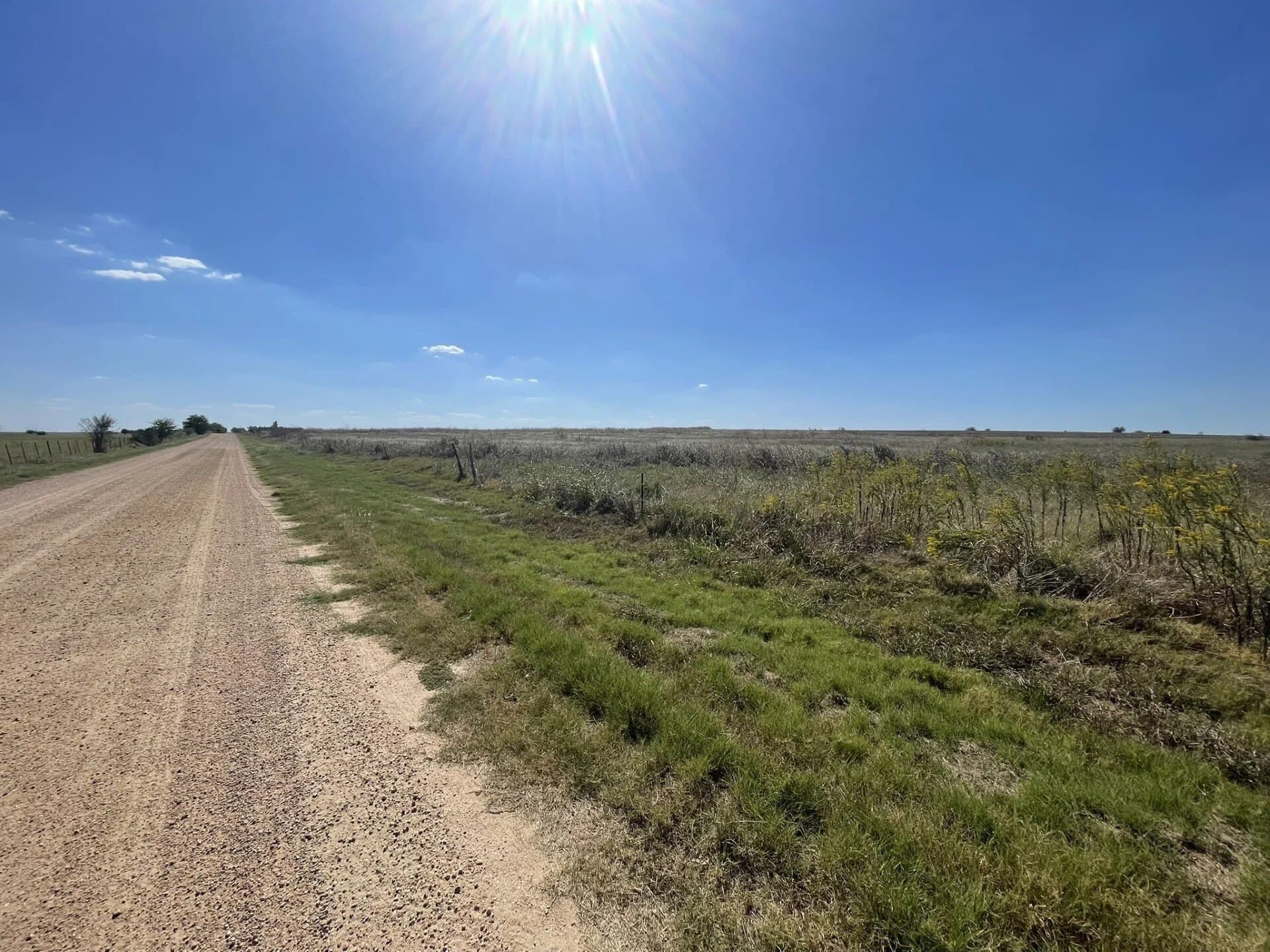 8 acres in Williamson County - photo 27