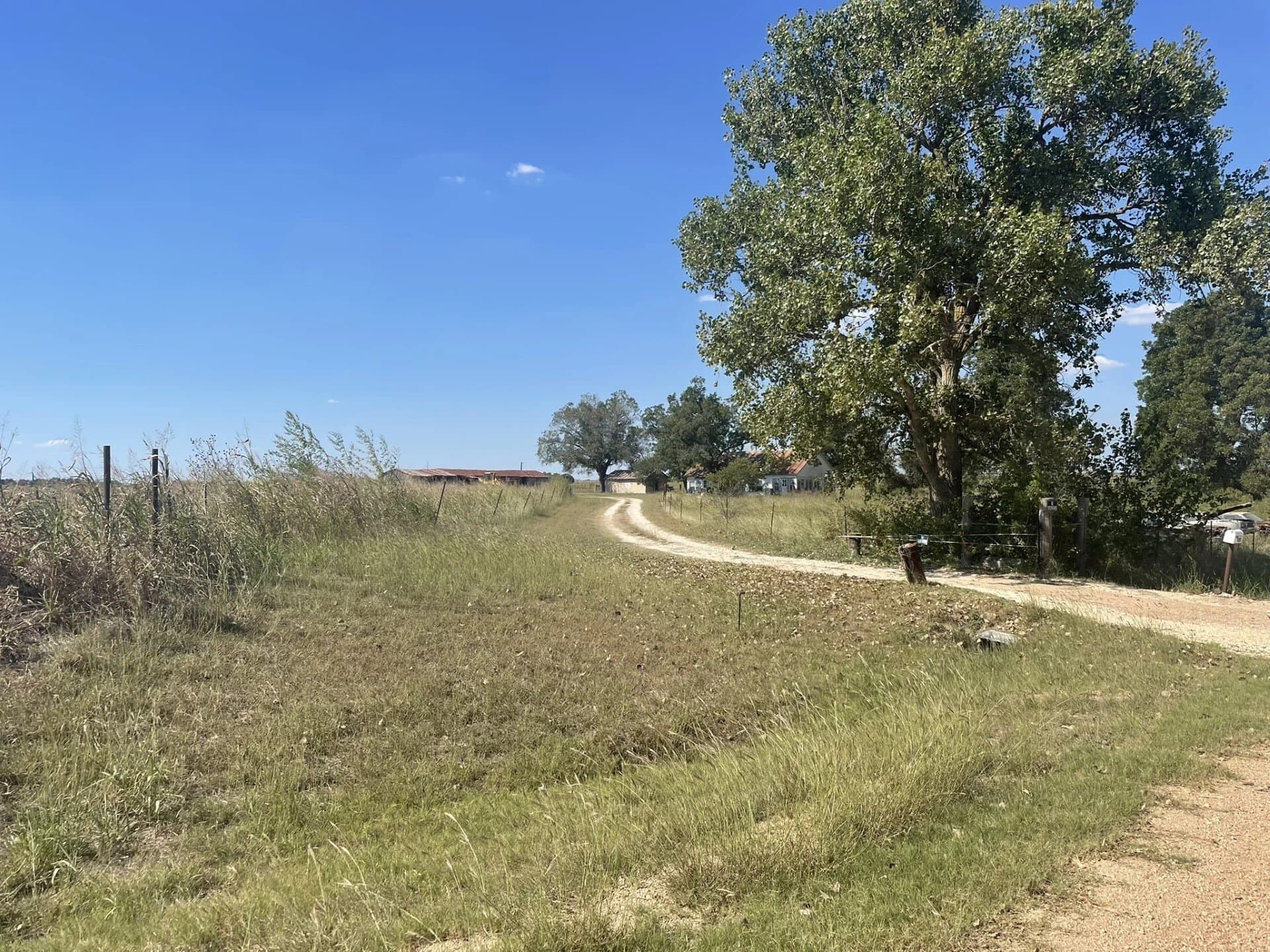 8 acres in Williamson County - photo 18