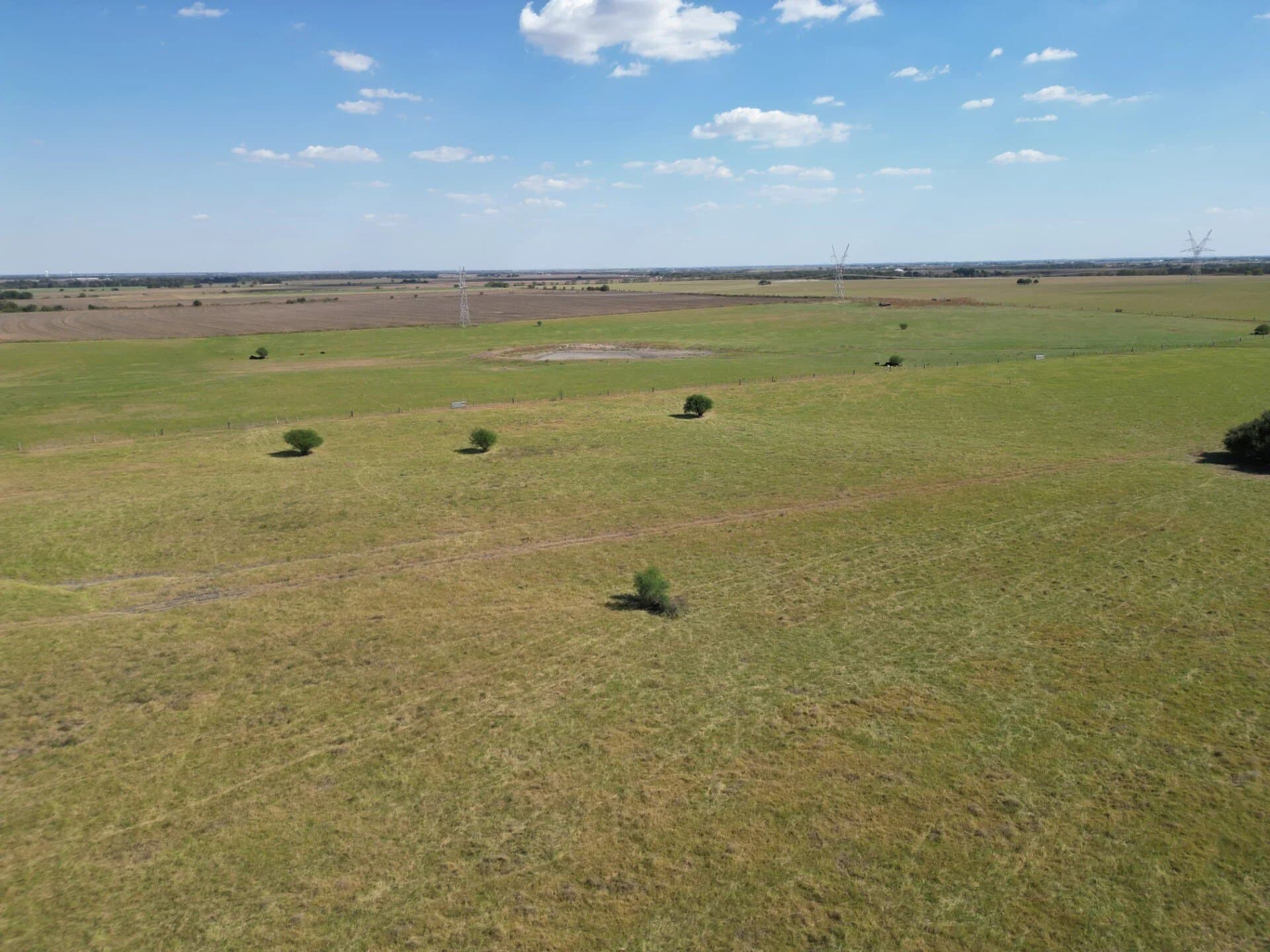 8 acres in Williamson County - photo 8