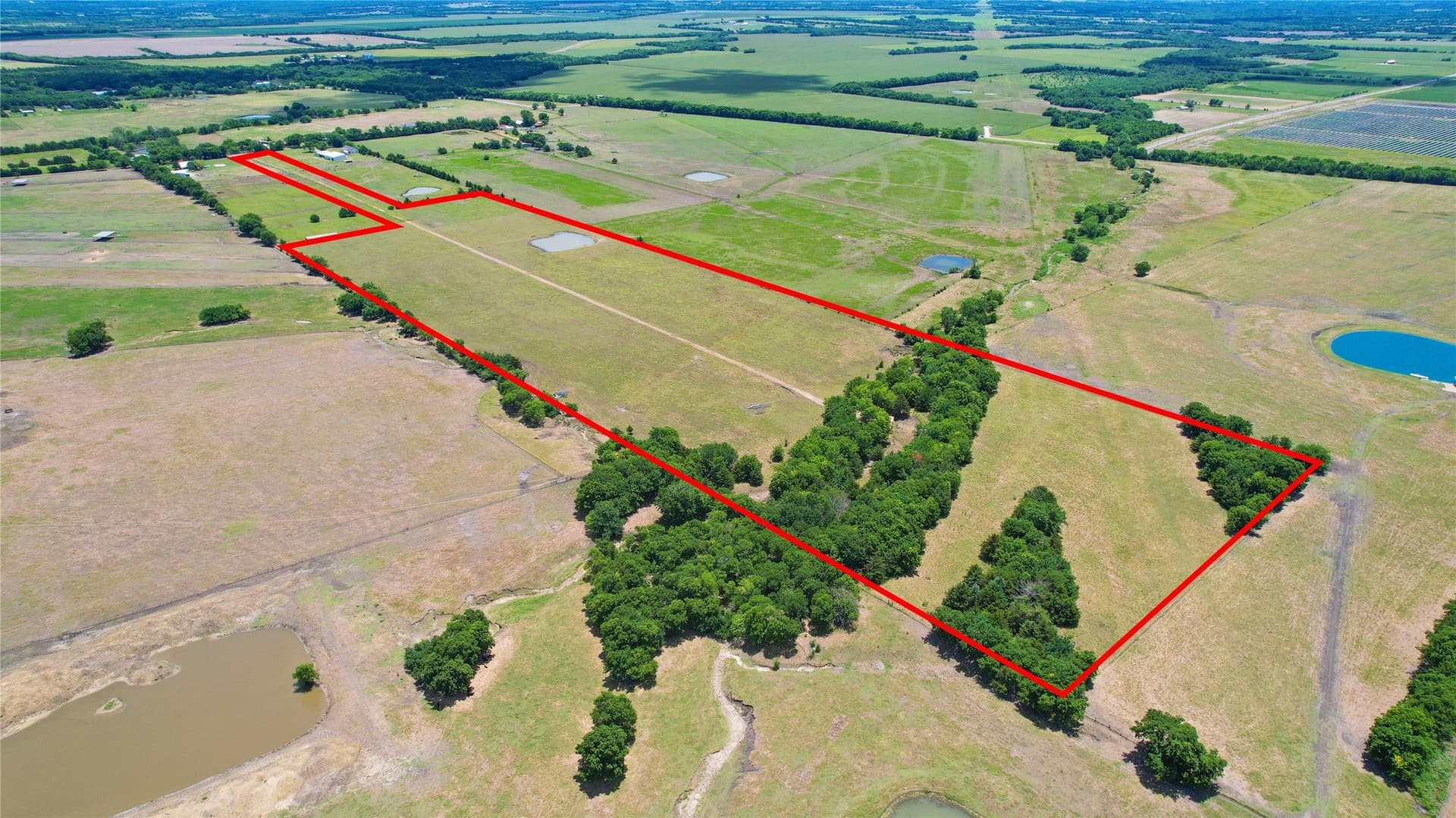30.01 acres in Lamar County - photo 9