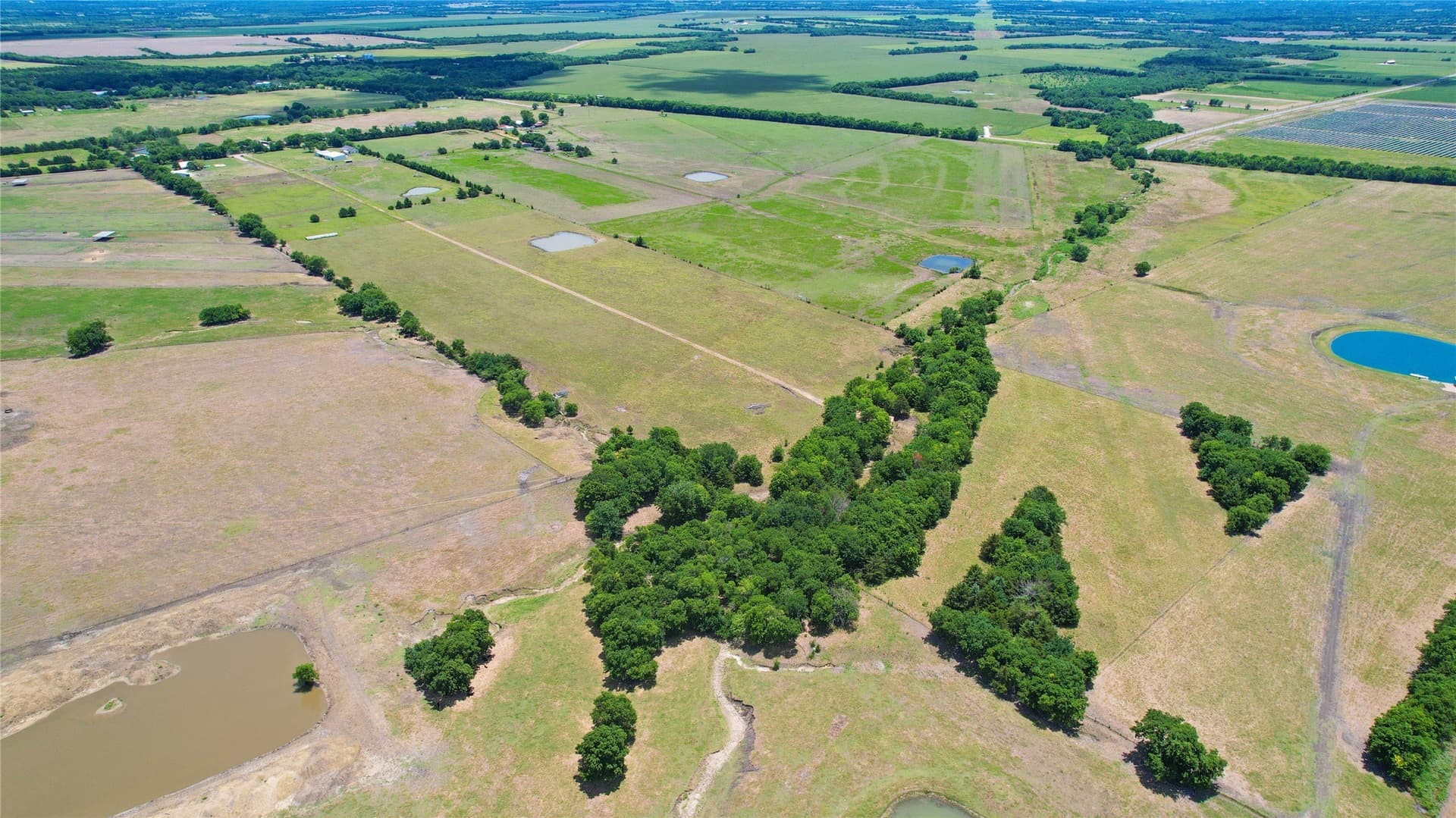 30.01 acres in Lamar County - photo 8
