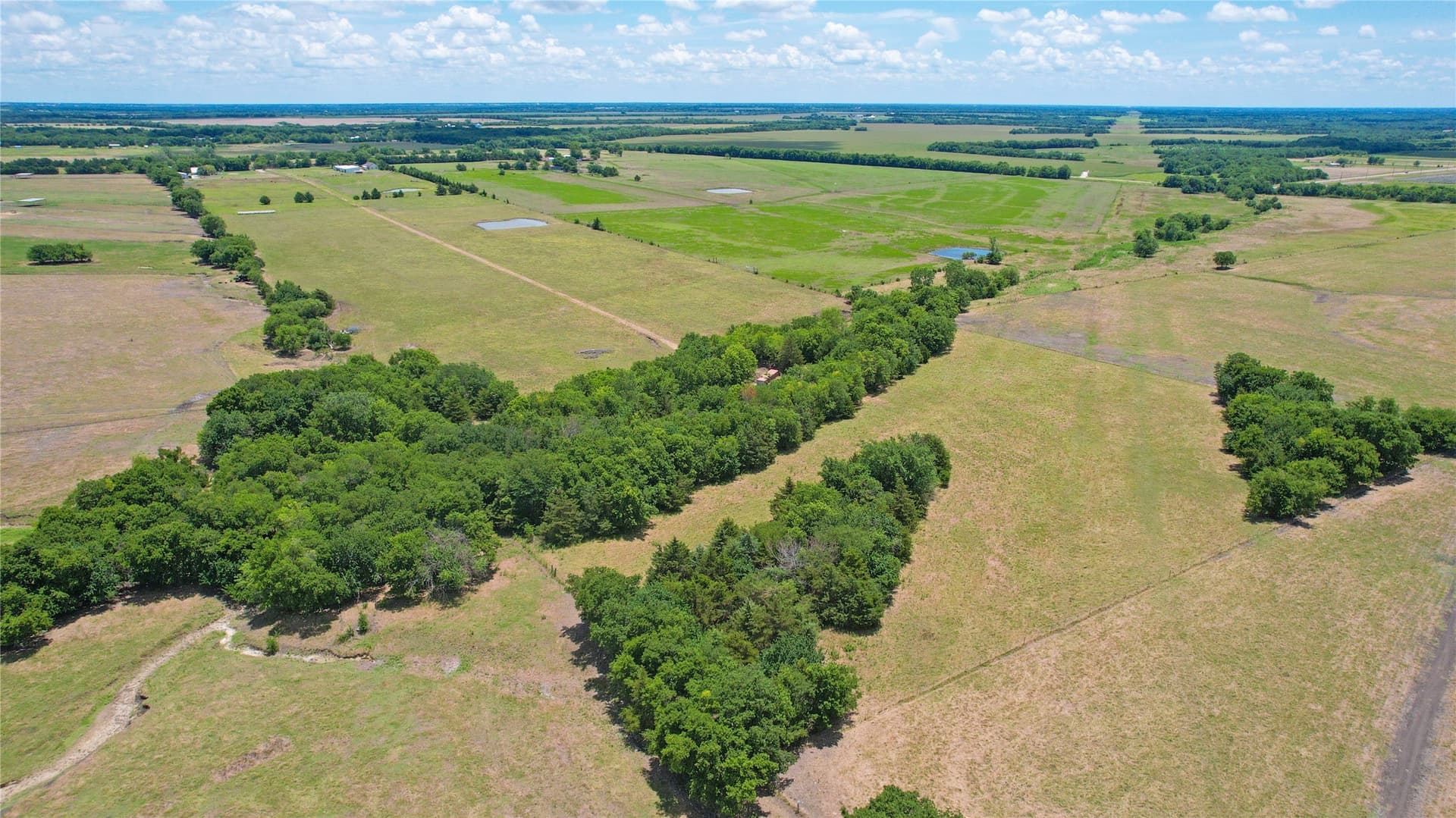 30.01 acres in Lamar County - photo 10