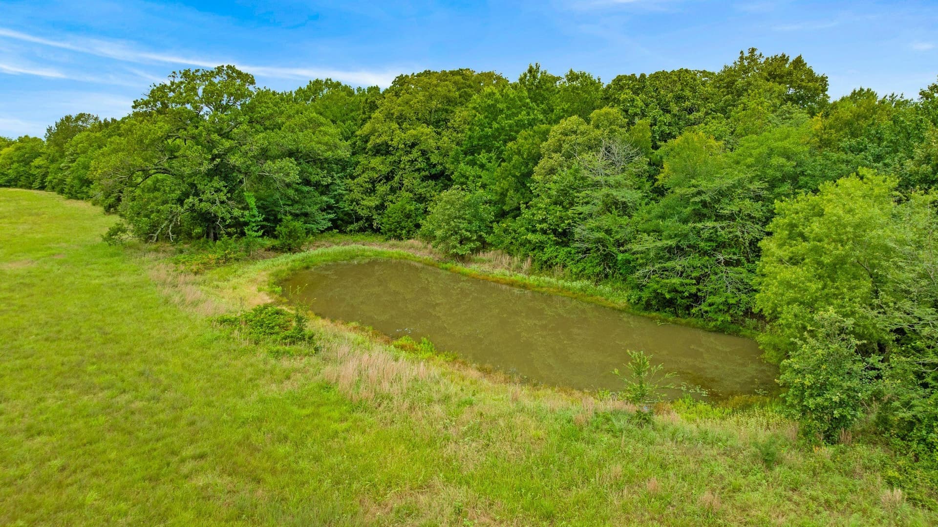 61.8 acres in Lamar County - photo 8