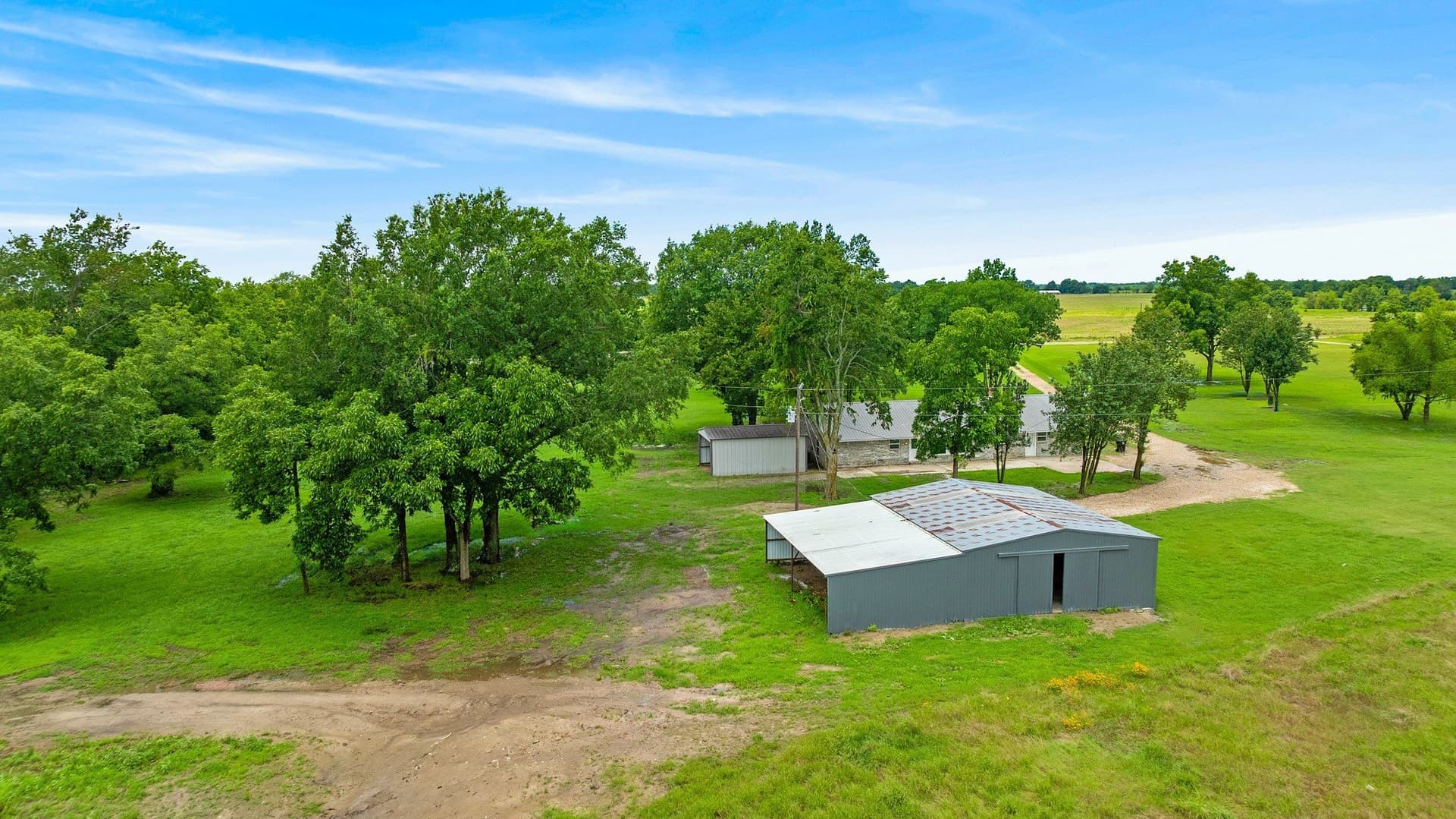 61.8 acres in Lamar County - photo 22