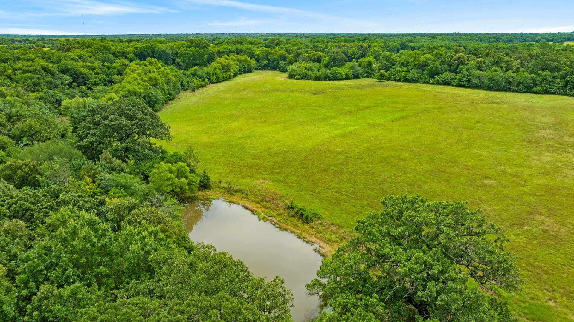 61.8 acres in Lamar County - photo 9