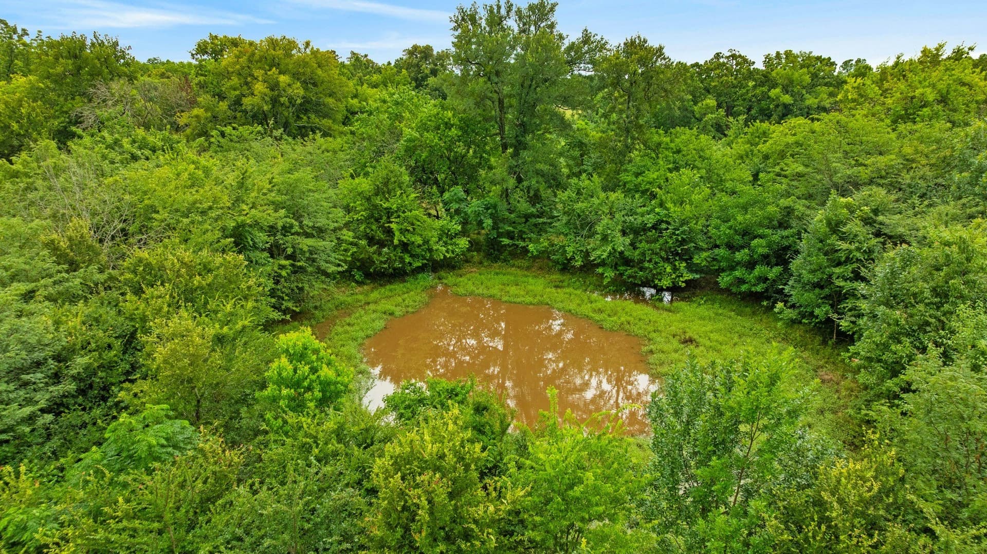 61.8 acres in Lamar County - photo 7