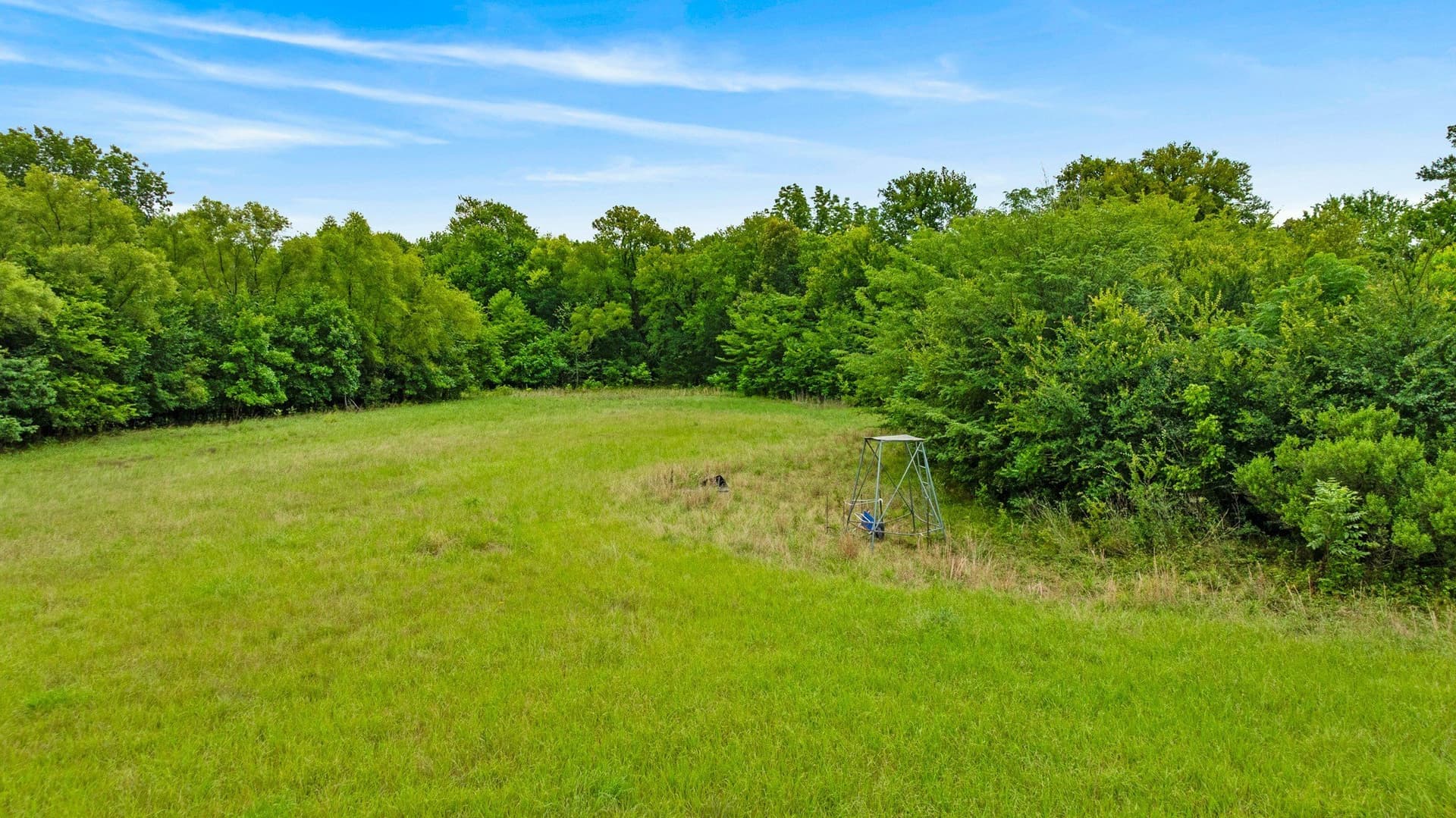 61.8 acres in Lamar County - photo 6