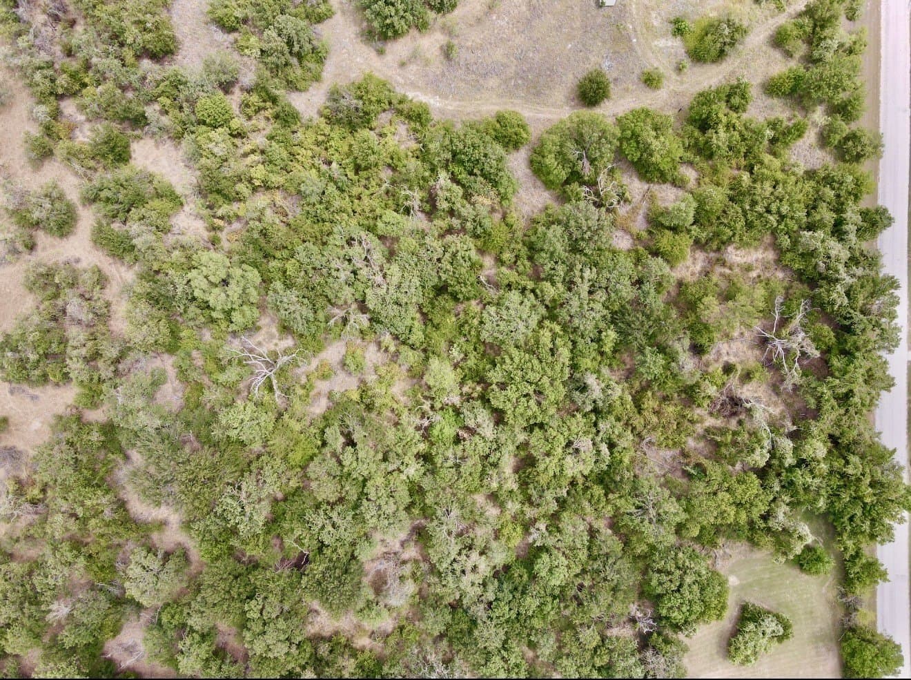2 acres in Wise County - photo 3