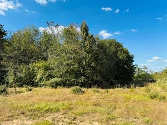 3.93 acres in Texas County - photo 9