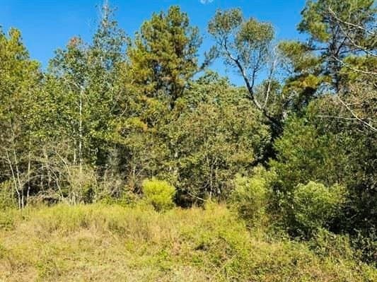 3.93 acres in Texas County - photo 6