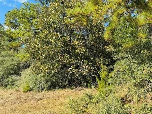 3.93 acres in Texas County - photo 8