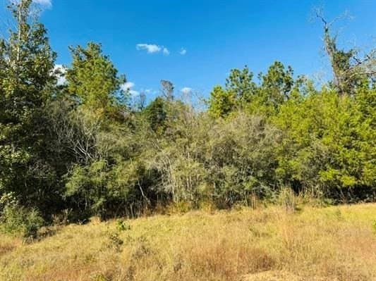 3.93 acres in Texas County - photo 7