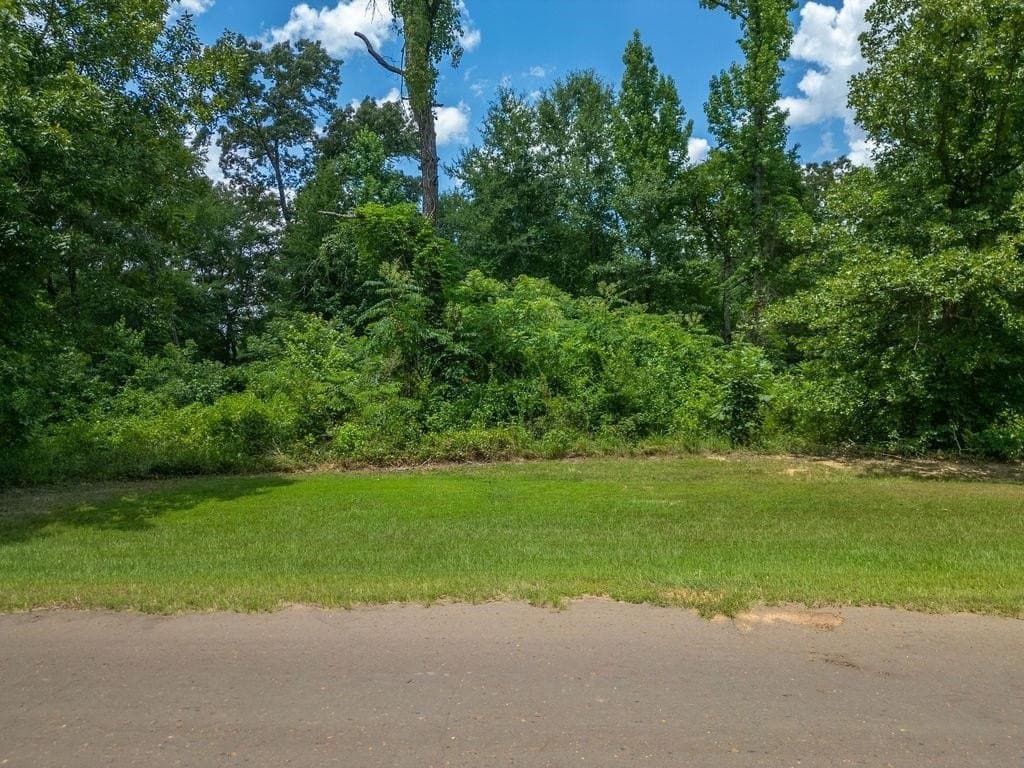 1.45 acres in Texas County - photo 7