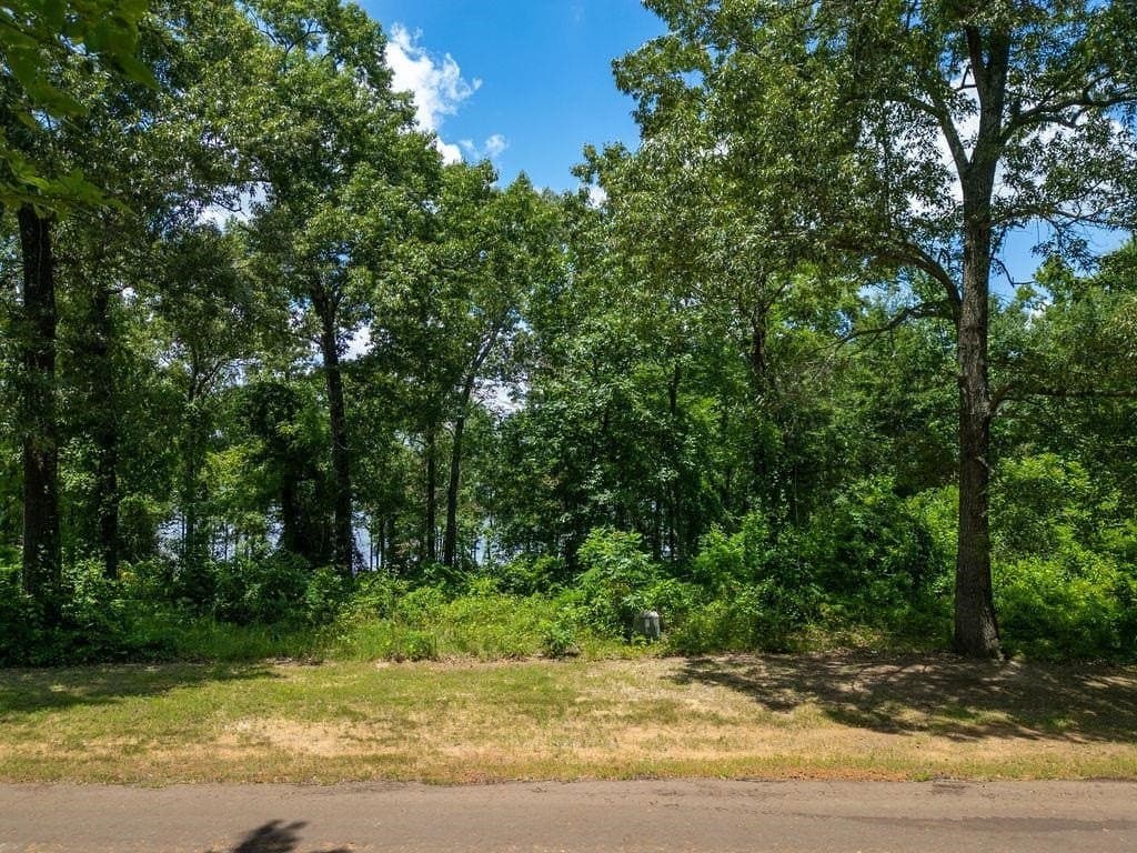 1.45 acres in Texas County featured view
