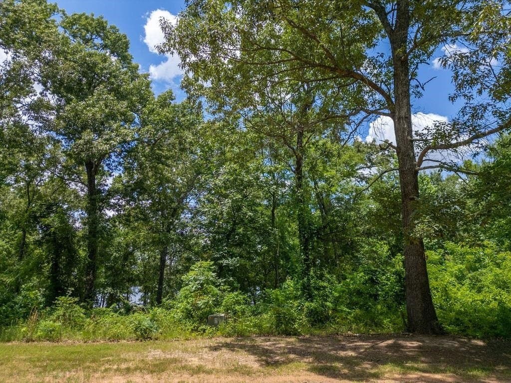 1.45 acres in Texas County - photo 8