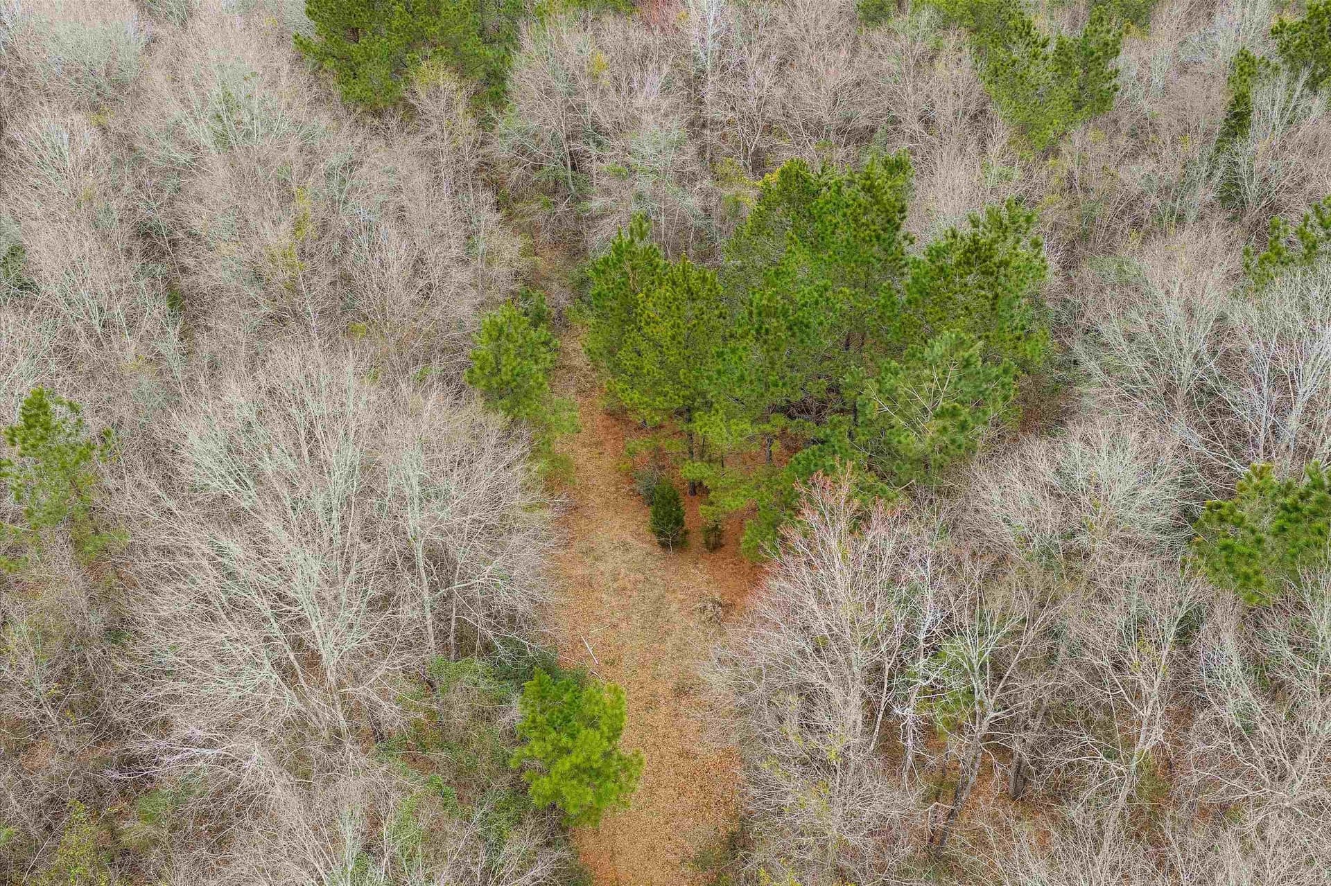 28.82 acres in Shelby County gallery image 2