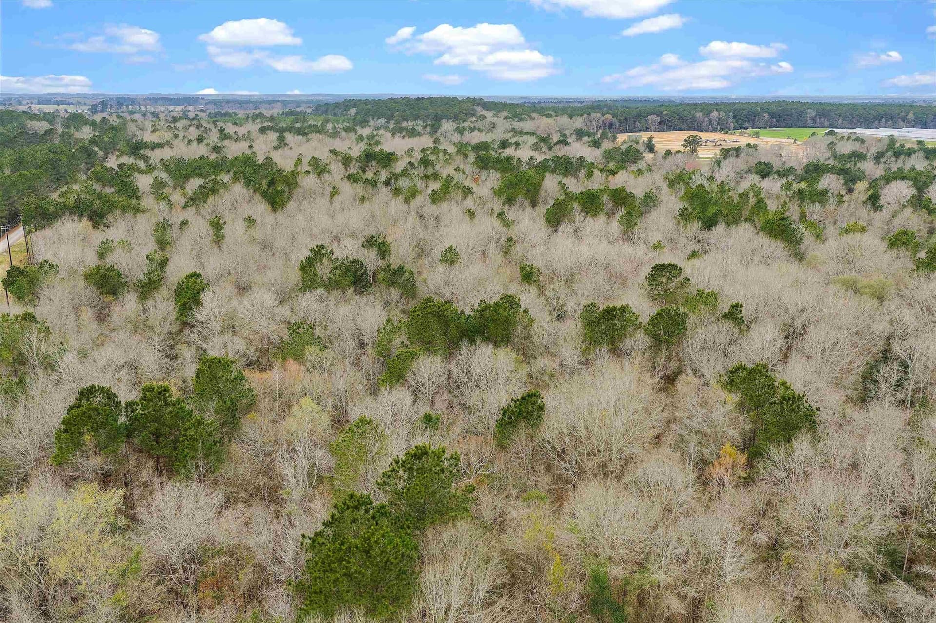 28.82 acres in Shelby County gallery image 3