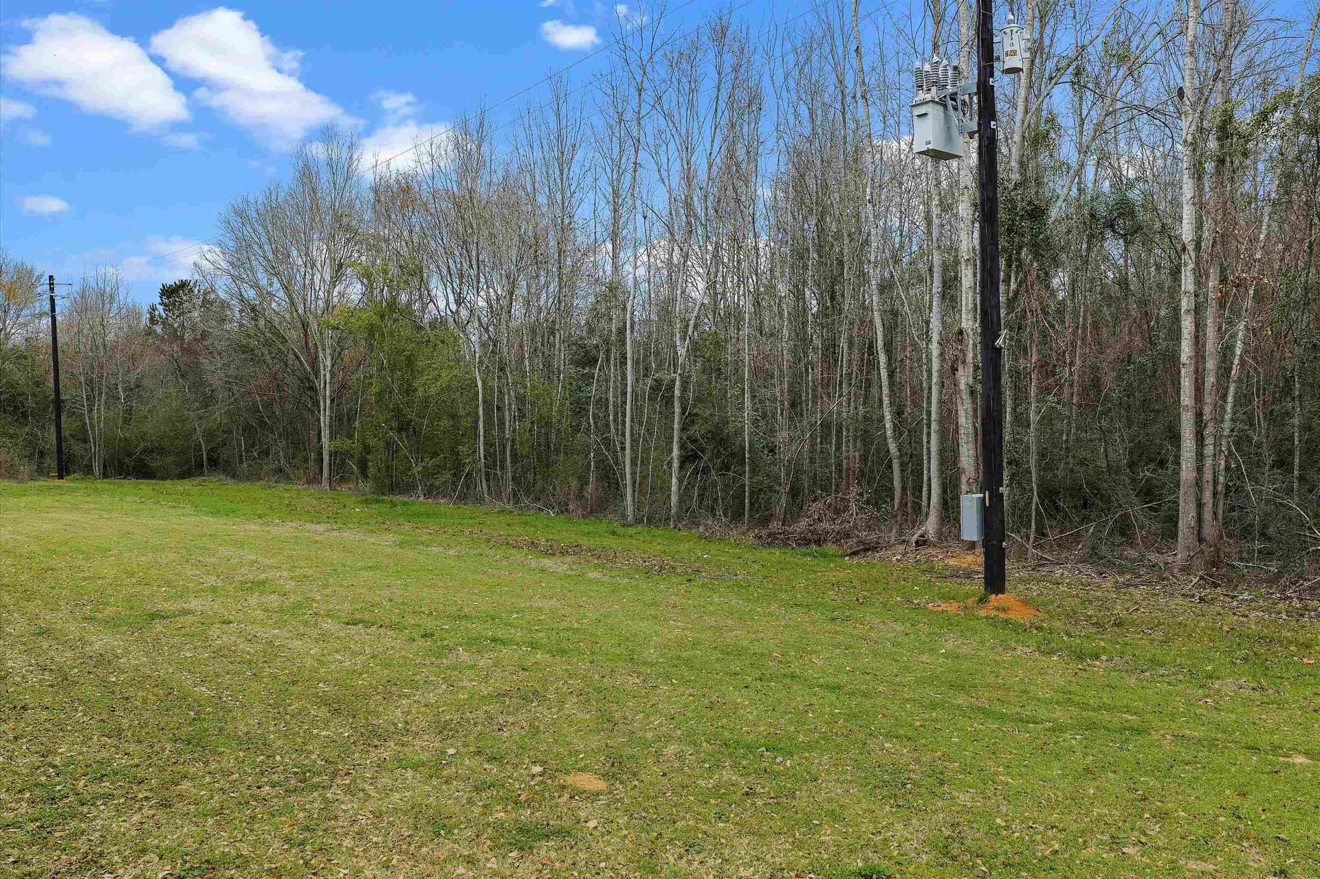 28.82 acres in Shelby County gallery image 4