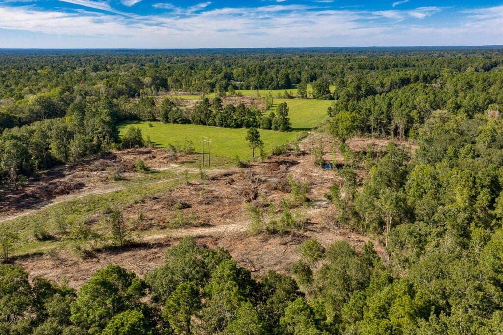 19.06 acres in Texas County - photo 7