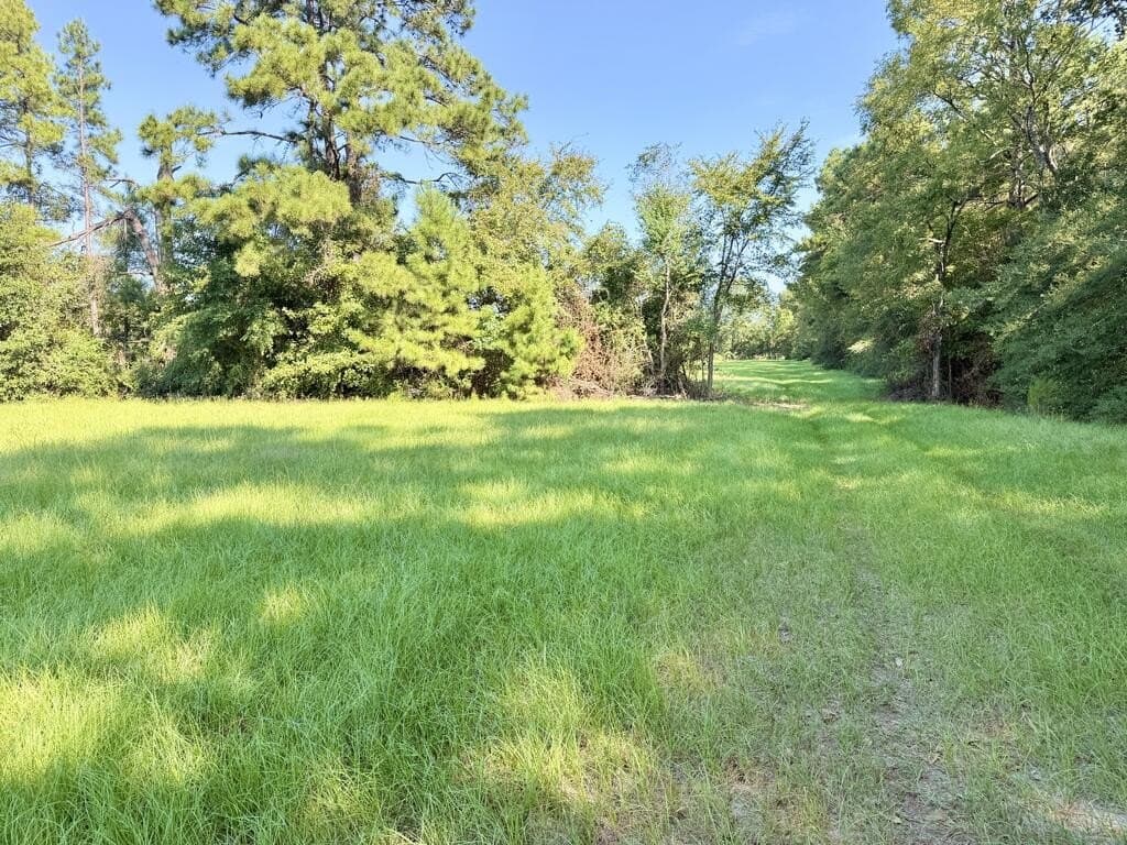 19.06 acres in Texas County - photo 14