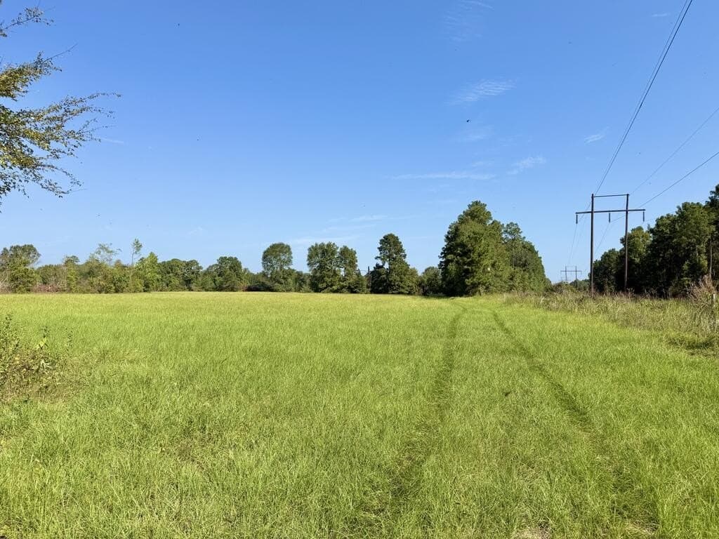19.06 acres in Texas County - photo 18