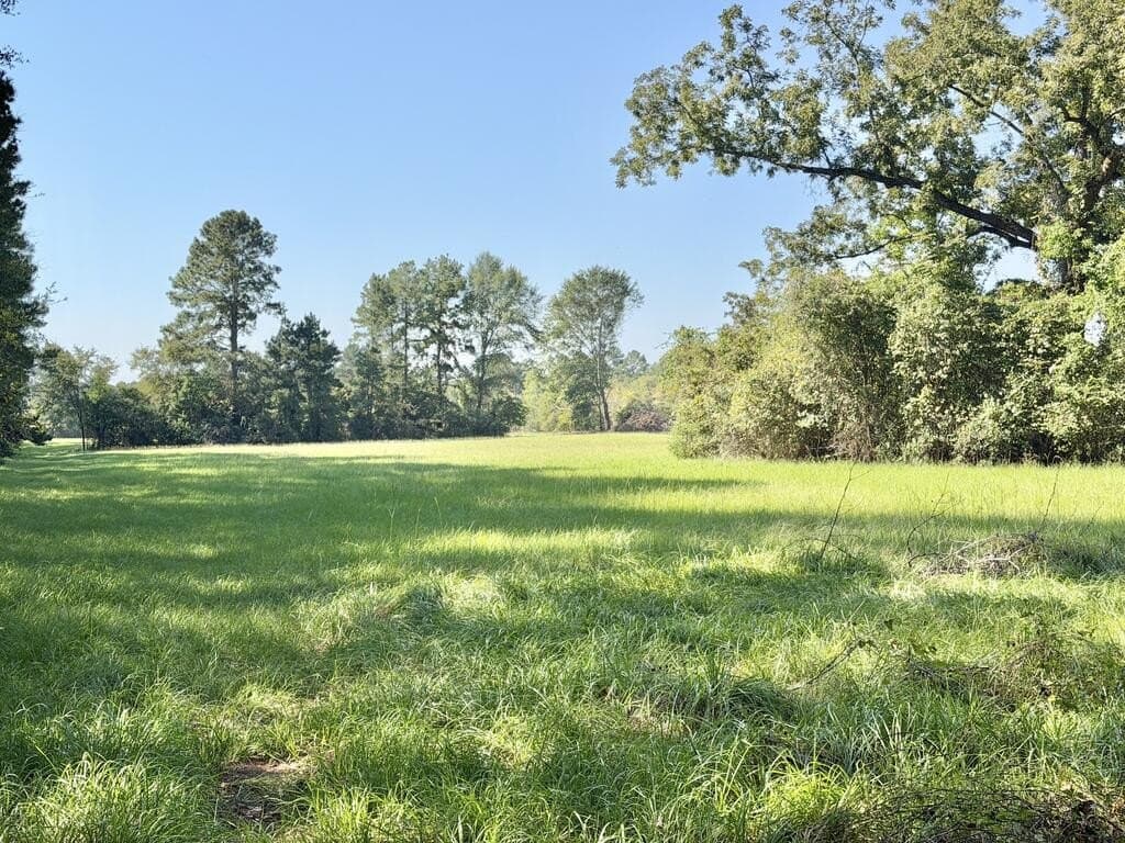19.06 acres in Texas County - photo 10