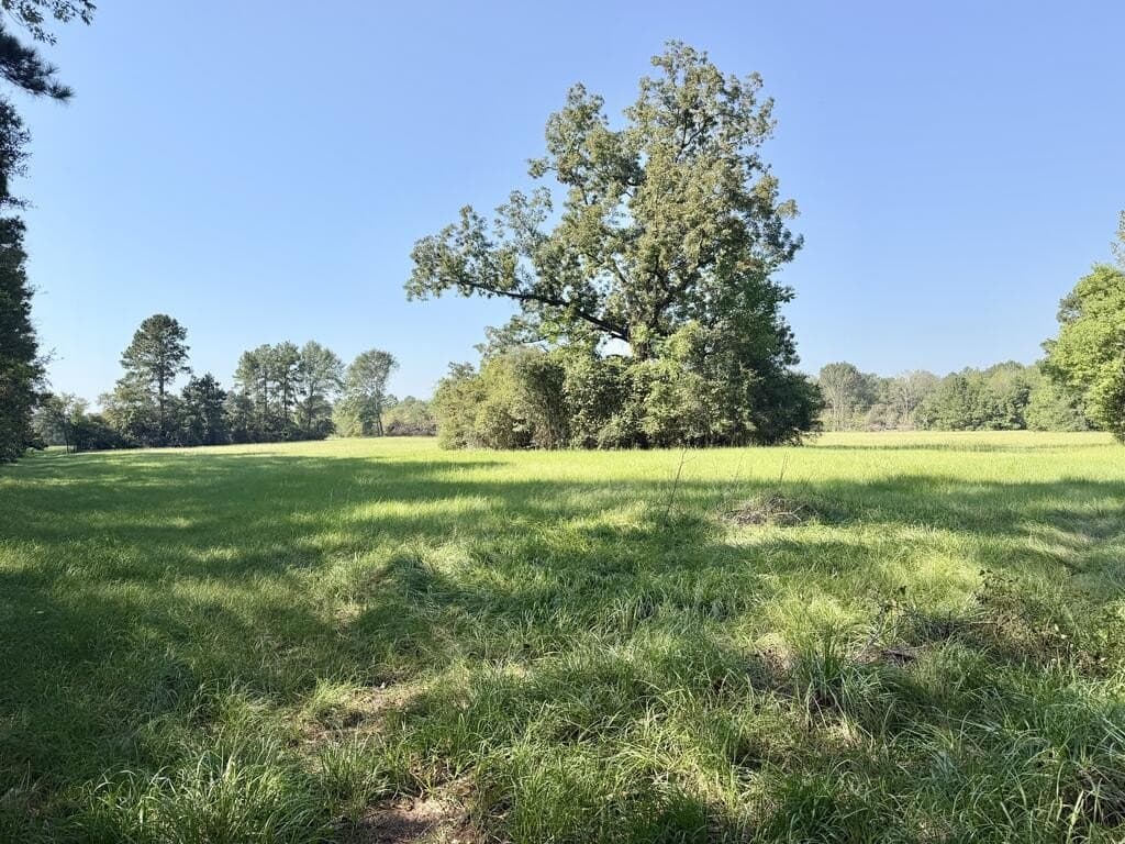 19.06 acres in Texas County - photo 11