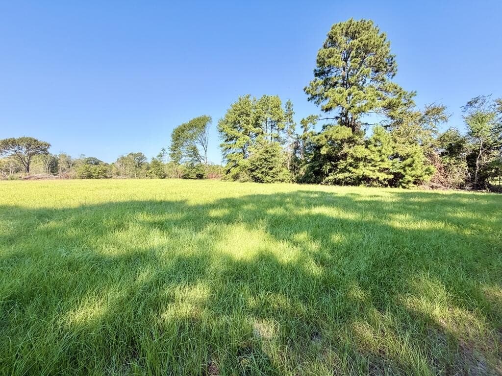 19.06 acres in Texas County - photo 15