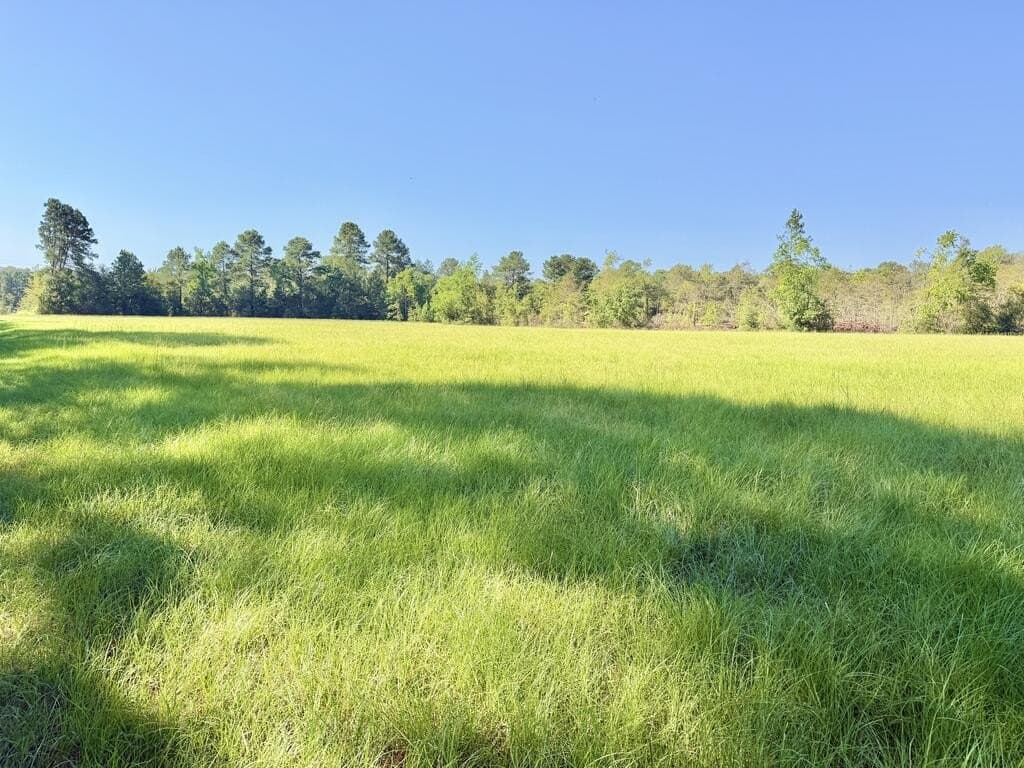 19.06 acres in Texas County - photo 12