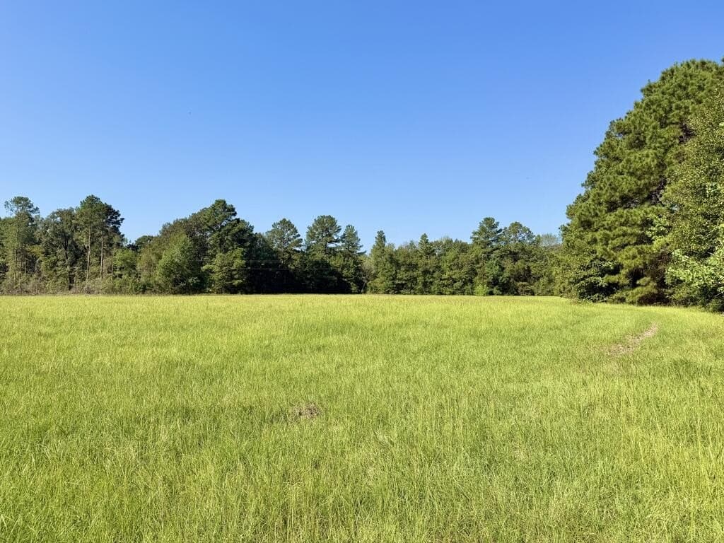 19.06 acres in Texas County - photo 16