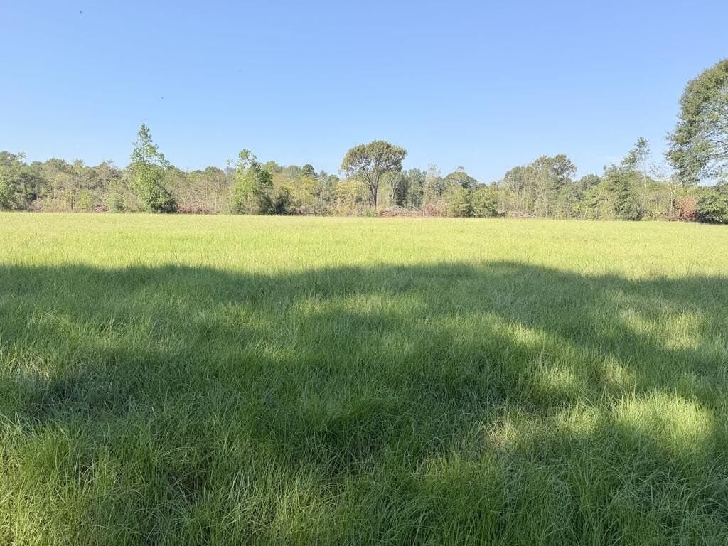 19.06 acres in Texas County - photo 13
