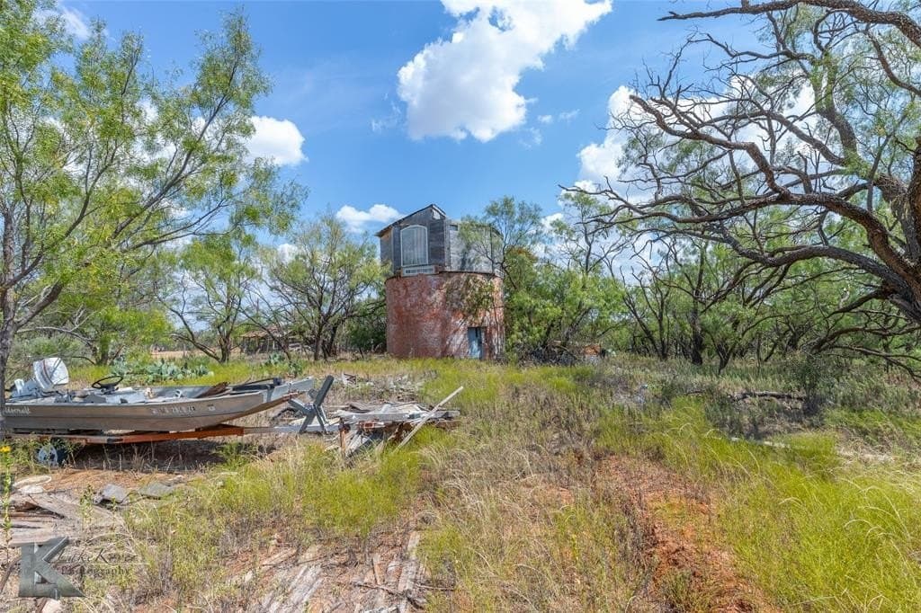 22 acres in Taylor County gallery image 4