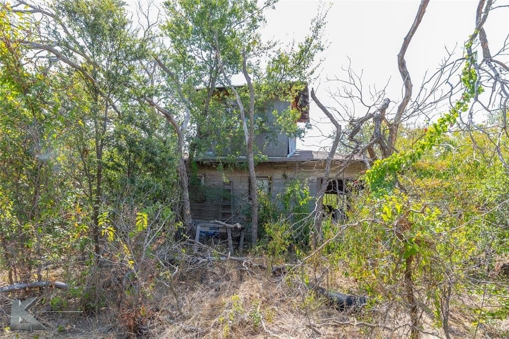 22 acres in Taylor County gallery image 3