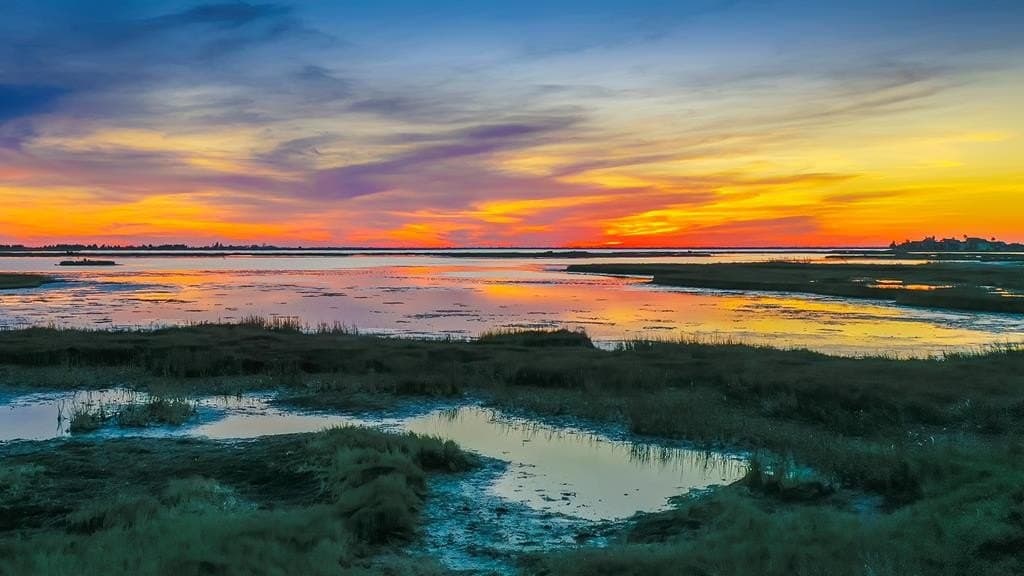 1.64 acres in Texas County featured view