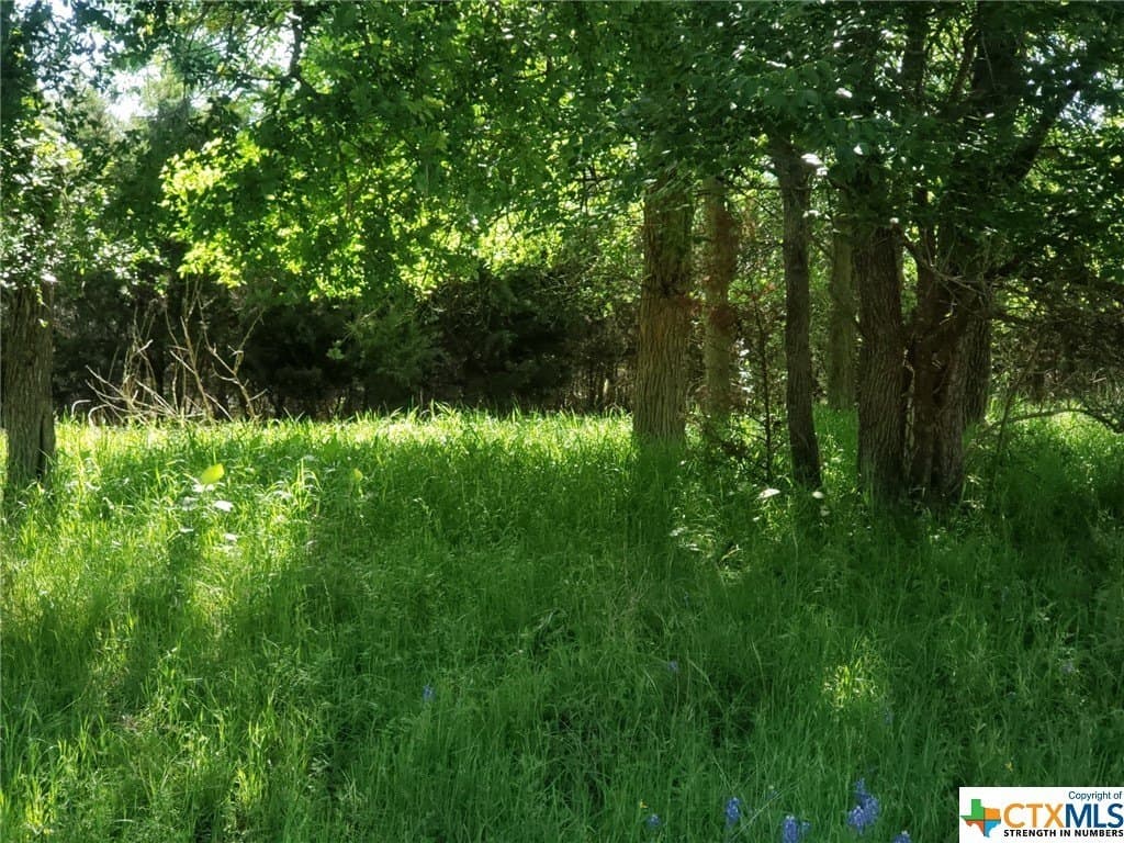 0.52 acres in Bell County gallery image 2