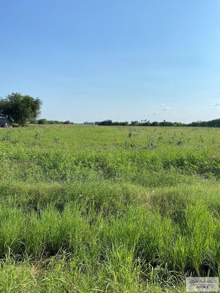 10.04 acres in CAMERON County gallery image 4