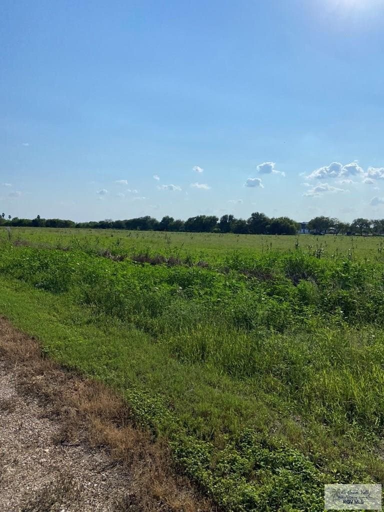10.04 acres in CAMERON County - photo 6