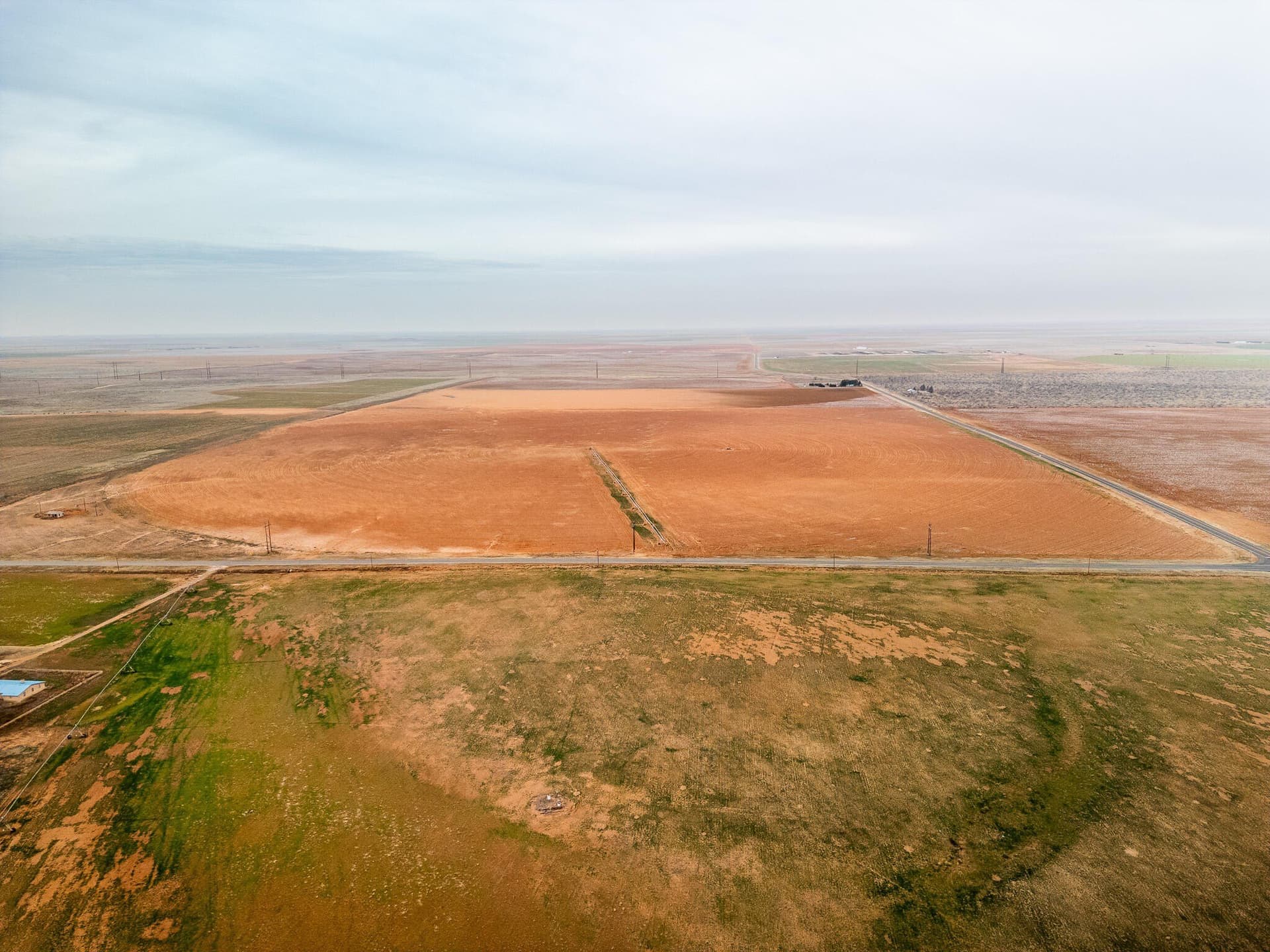 160 acres in Terry County gallery image 3