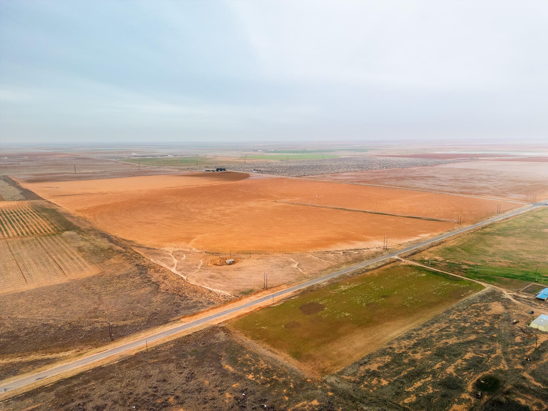 160 acres in Terry County gallery image 4