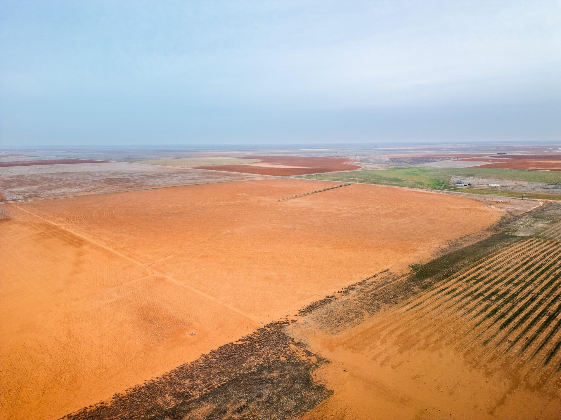 160 acres in Terry County featured view