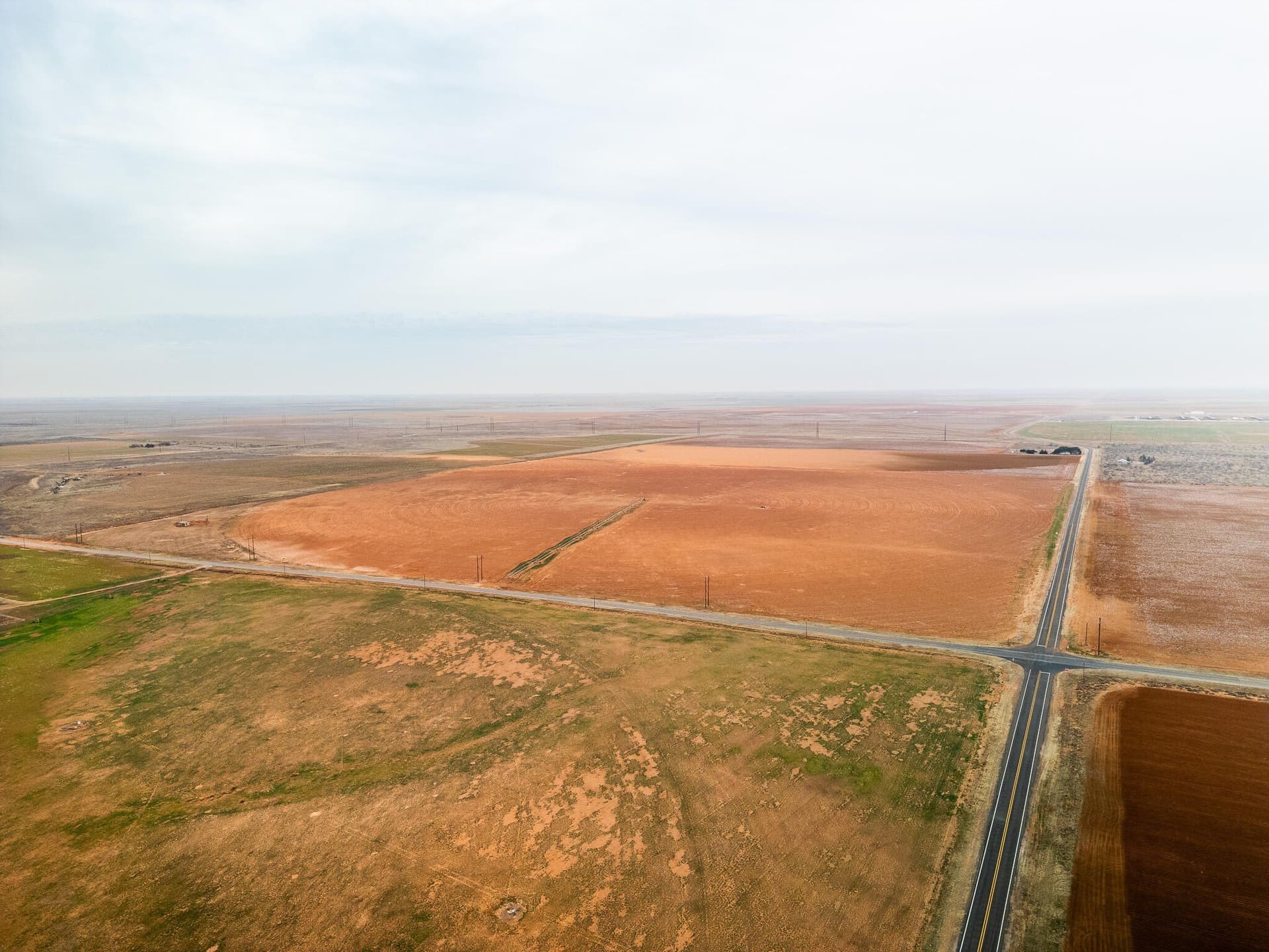 160 acres in Terry County gallery image 2
