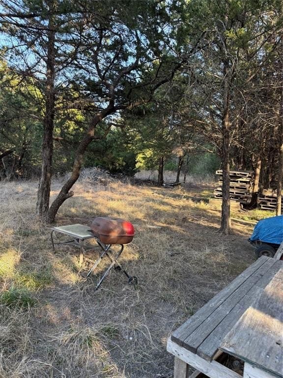 10.02 acres in Navarro County gallery image 4