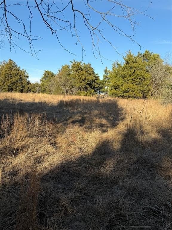 10.02 acres in Navarro County gallery image 2