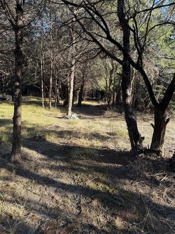 10.02 acres in Navarro County featured view