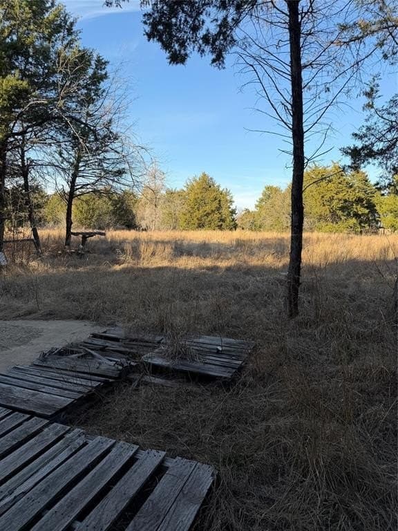 10.02 acres in Navarro County gallery image 3