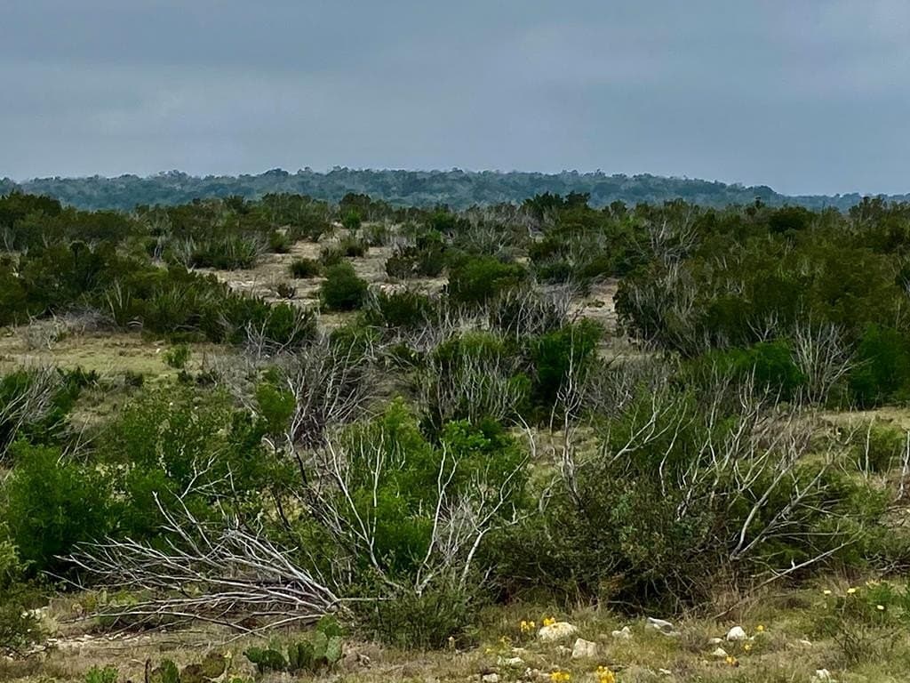 356.67 acres in Val Verde County