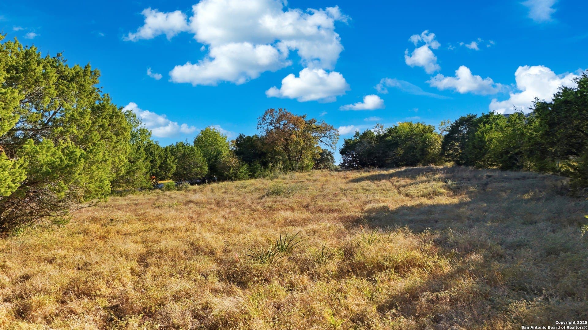 1.34 acres in Comal County - photo 9